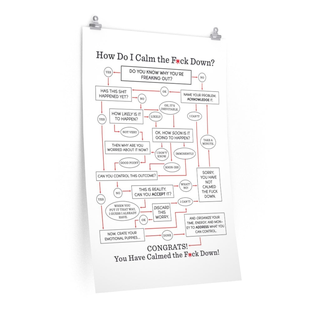 "How Do I Calm the F*ck Down?" Flowchart Poster (Multiple Sizes)