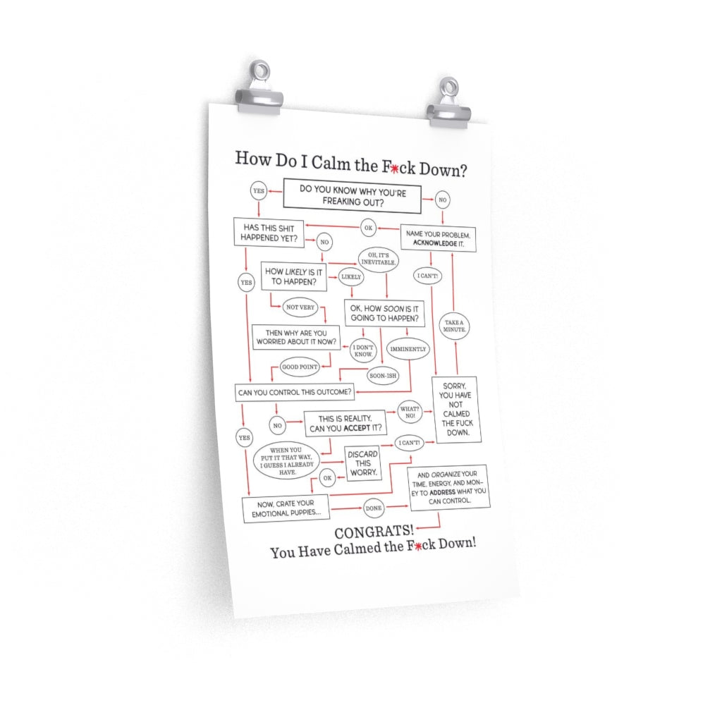 "How Do I Calm the F*ck Down?" Flowchart Poster (Multiple Sizes)