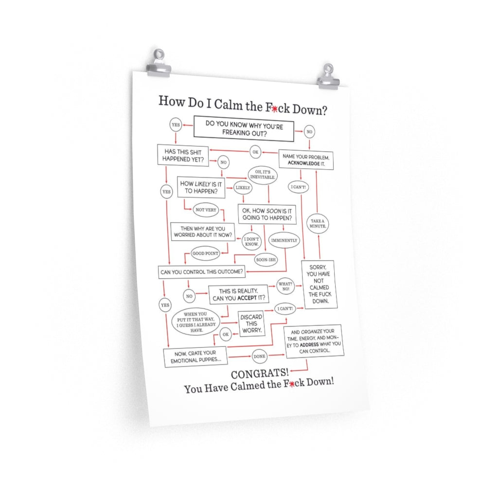 "How Do I Calm the F*ck Down?" Flowchart Poster (Multiple Sizes)